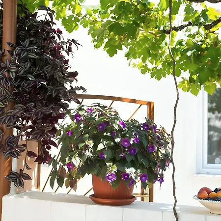 Urban Escape With Stunning Old Bridge Terrace Views Apartment *